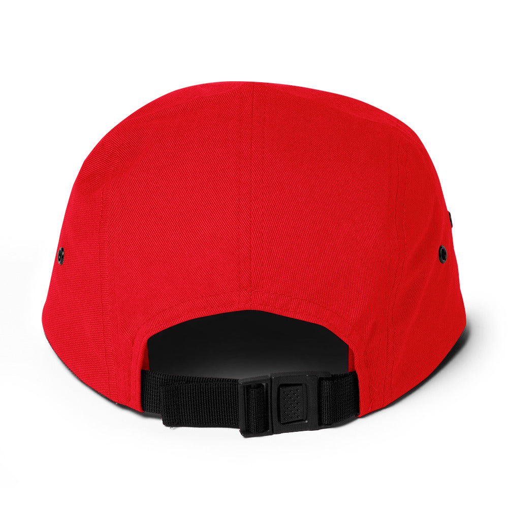 DG - 5 Panel